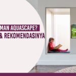 aquascape