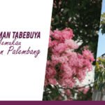 Pesona Tabebuya perumahan palembang