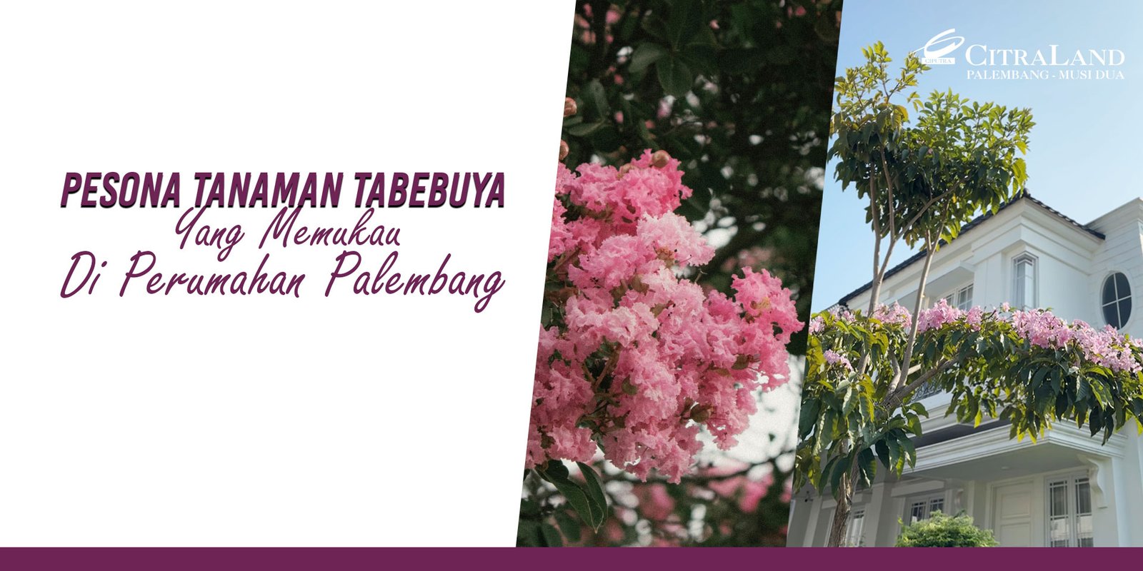 Pesona Tabebuya perumahan palembang